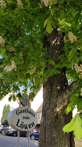 Gasthaus Löwen photo 4